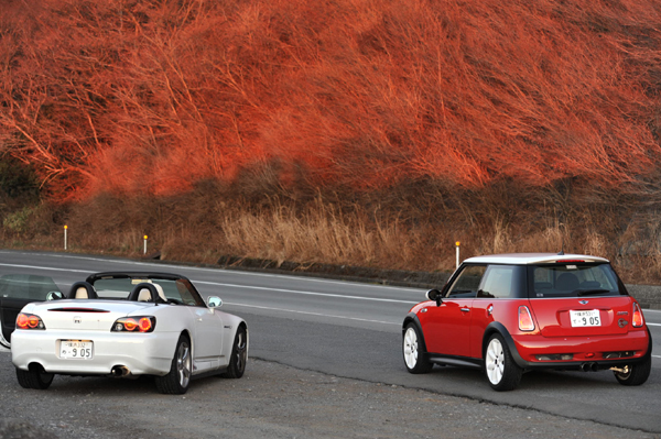 103 550 7 DSC_4666.jpg